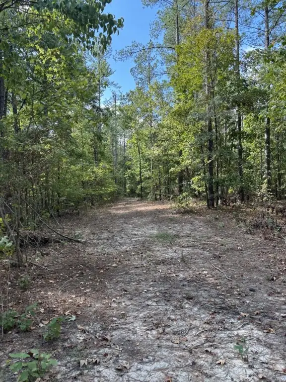 Picture 29
