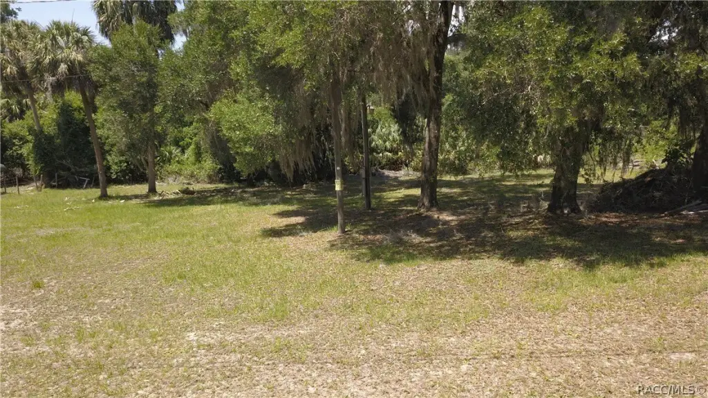 Picture 4