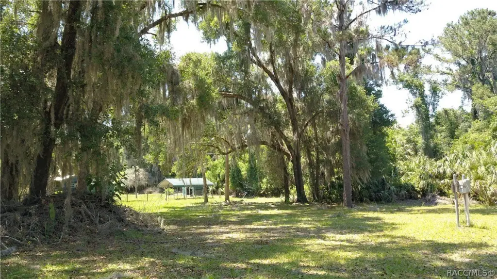 Picture 8