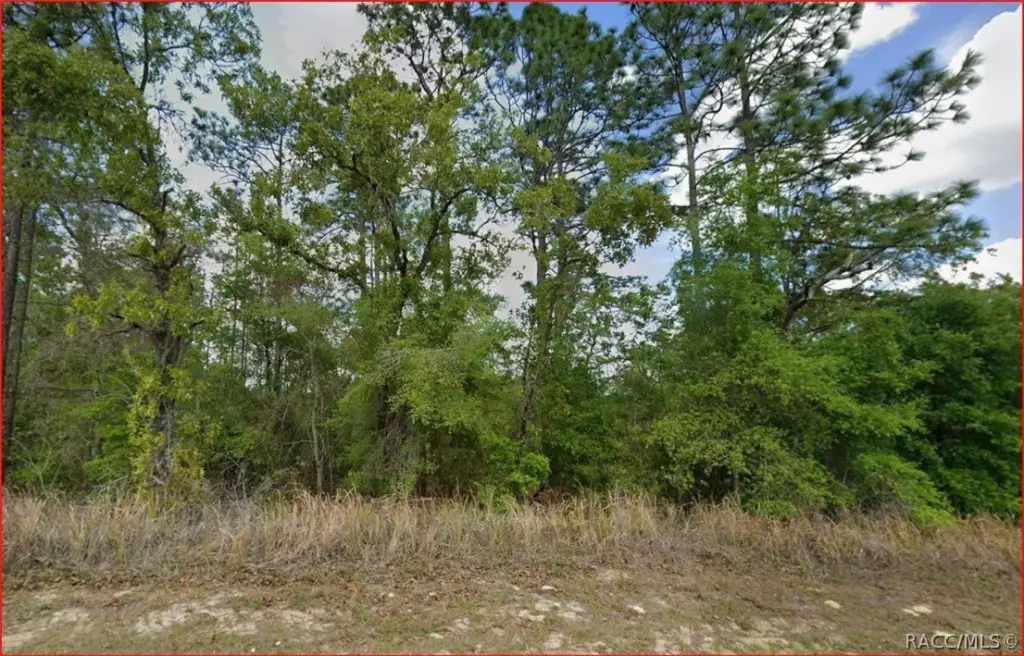 Picture 2