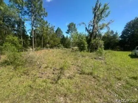 Wooded Land in Crystal River