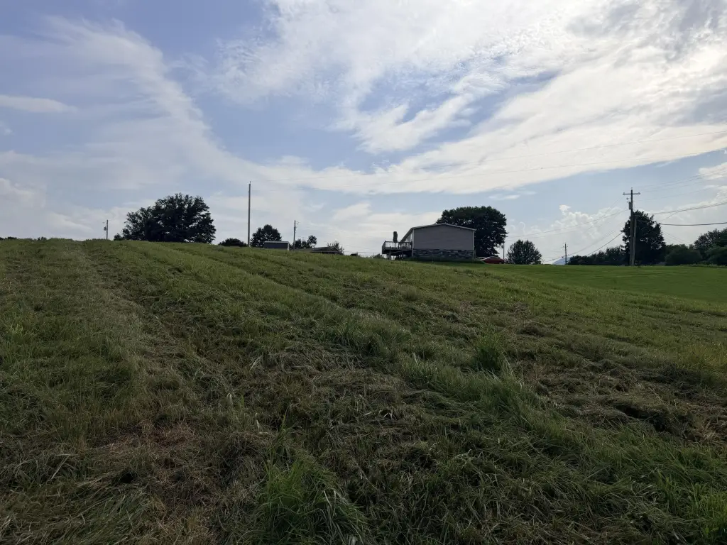 Picture 17