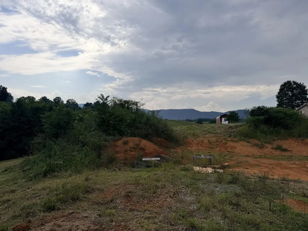 Picture 19