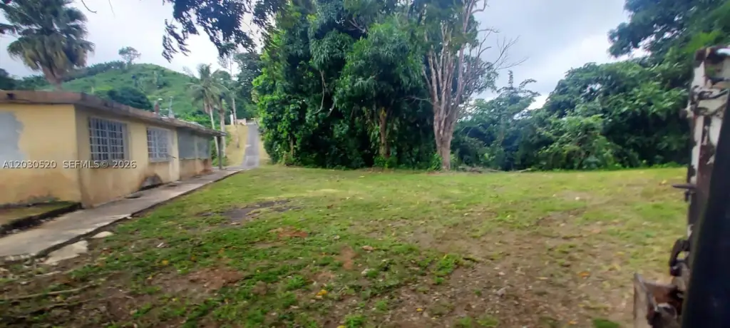 Picture 5