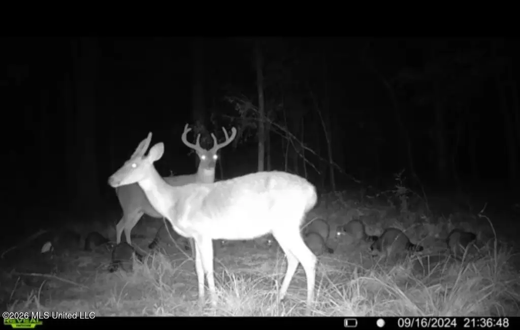 Picture 2