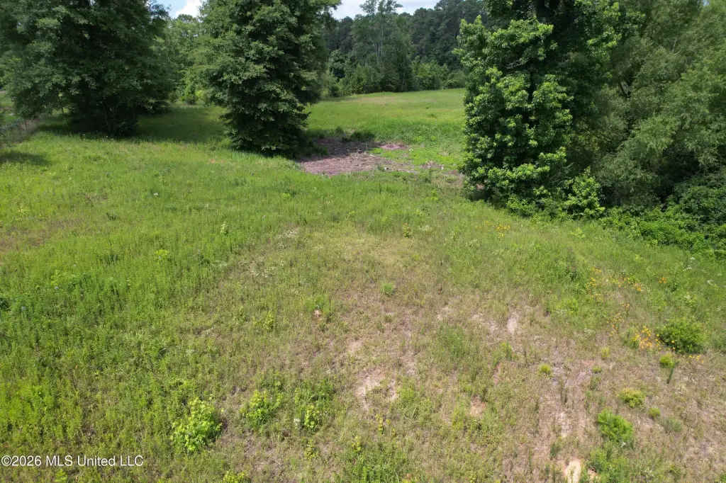 Picture 10