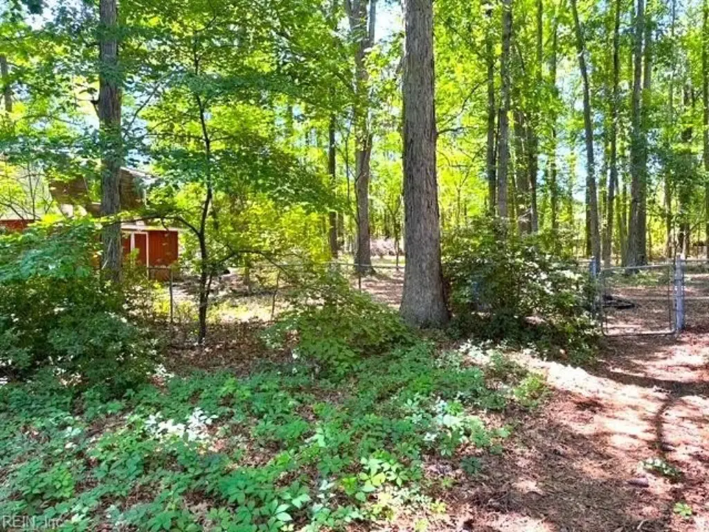 Picture 2