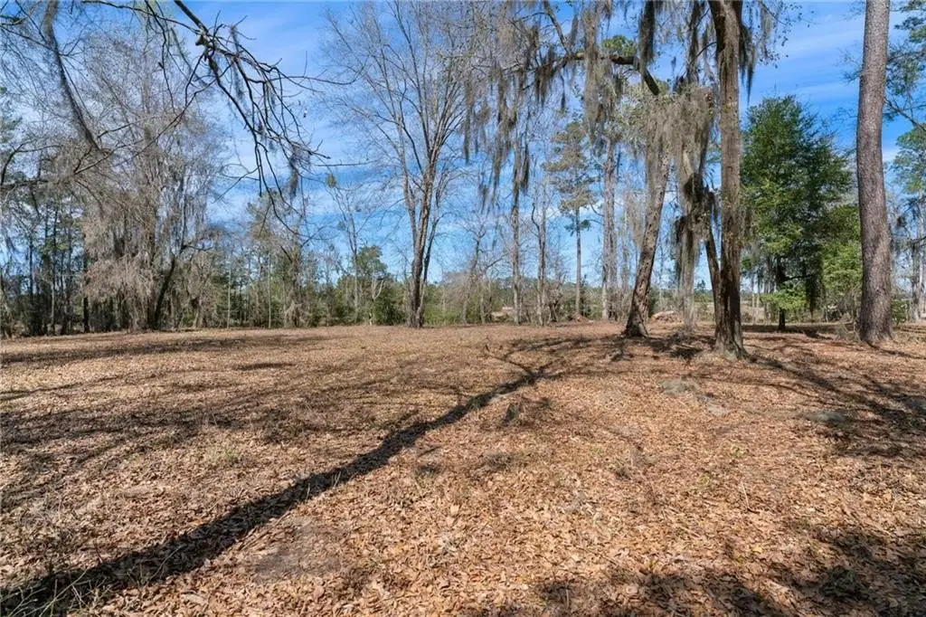Picture 21