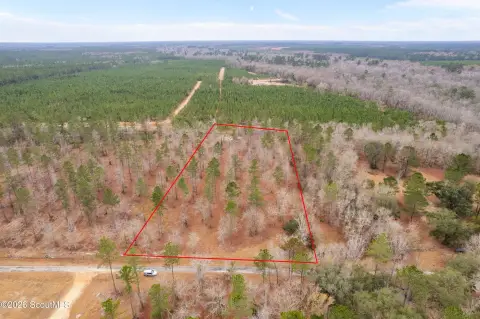 Secluded 4-Acre Homesite in Jesup