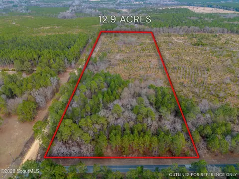 12.9 Acres in Hawkinsville, GA