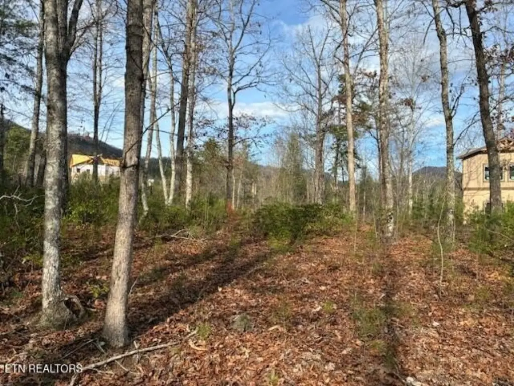 Picture 9
