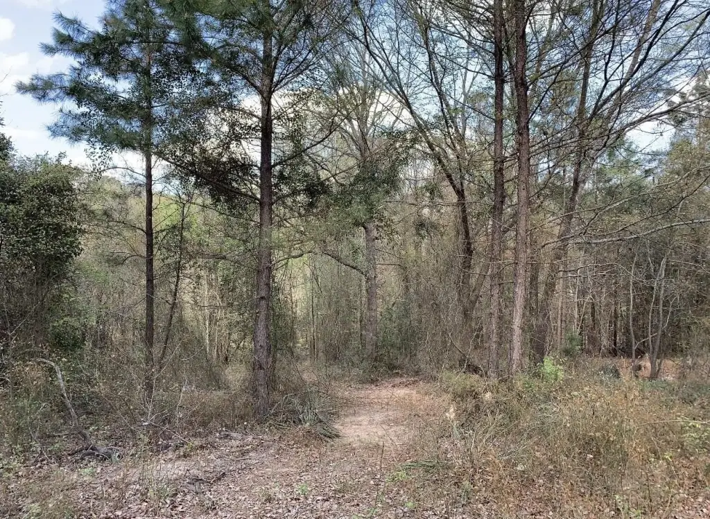 Picture 10