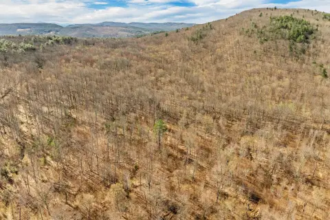 215 Acres of Woodland