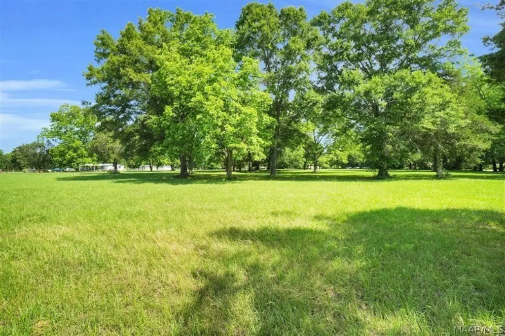 Picture 16