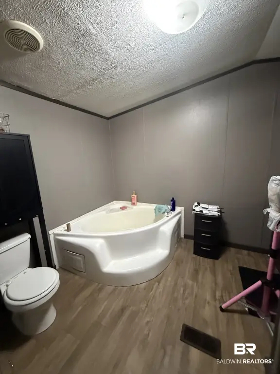 Picture 47