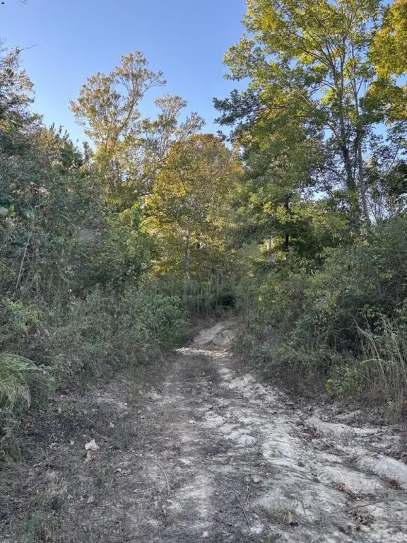 Picture 15
