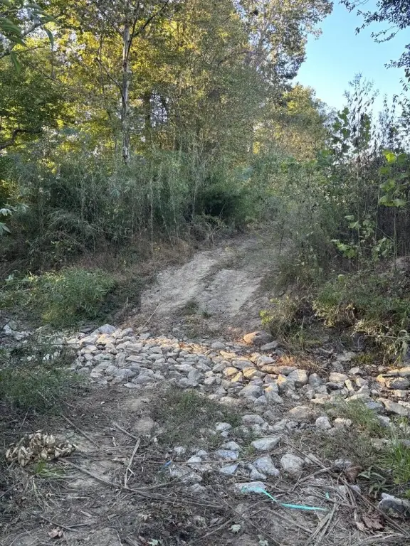 Picture 18