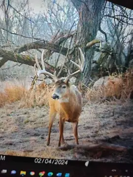 Productive Land in Pepin County
