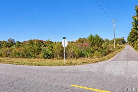 Open Commercial Land