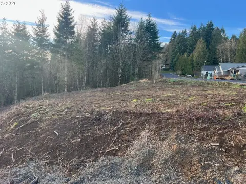 Longview Land Parcel Opportunity