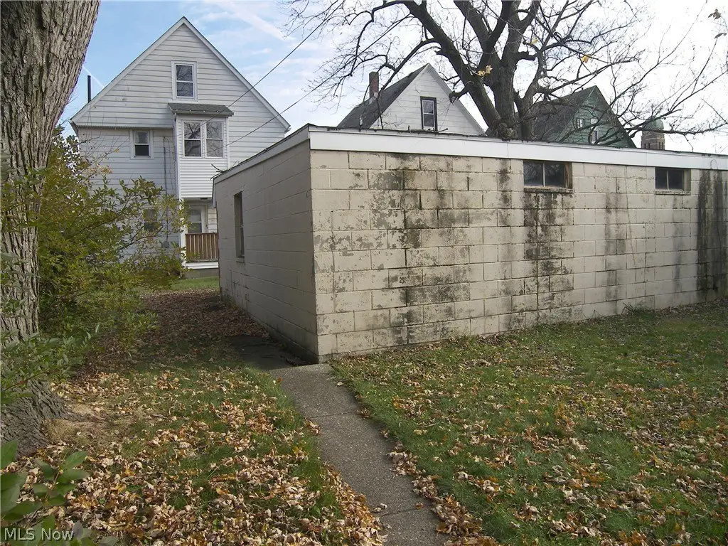 Picture 5
