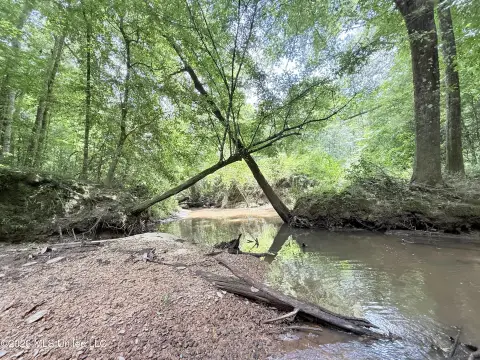Riverbottom Hunting Land