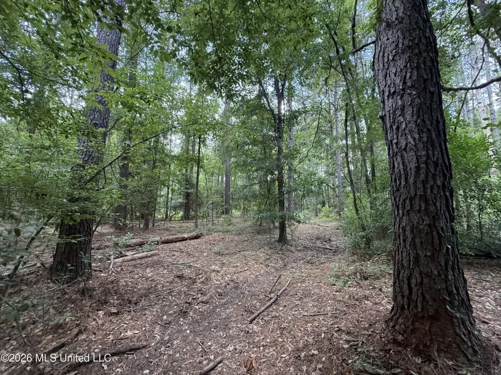 Picture 26