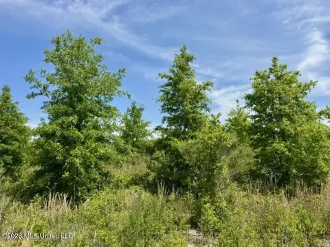 Developed Hunting Land with Lake