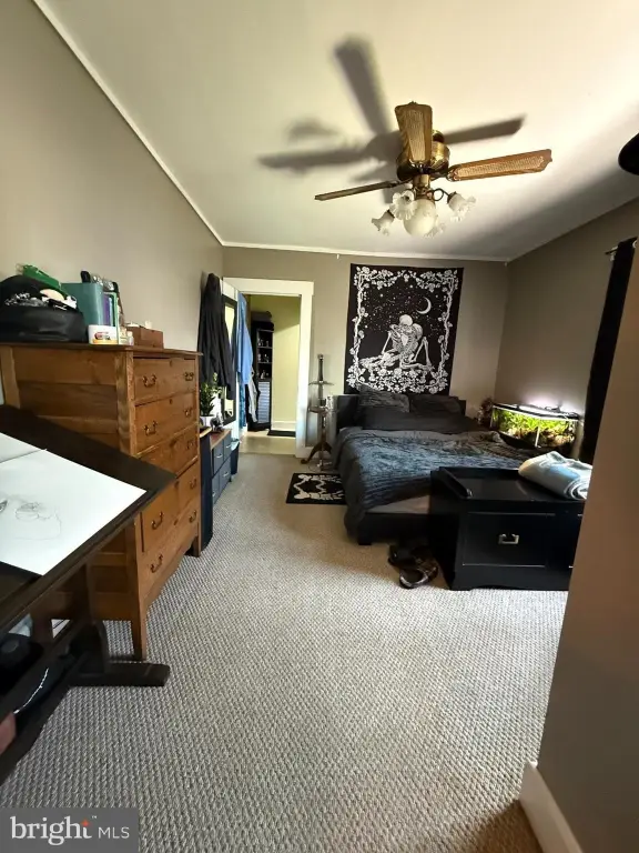 Picture 17