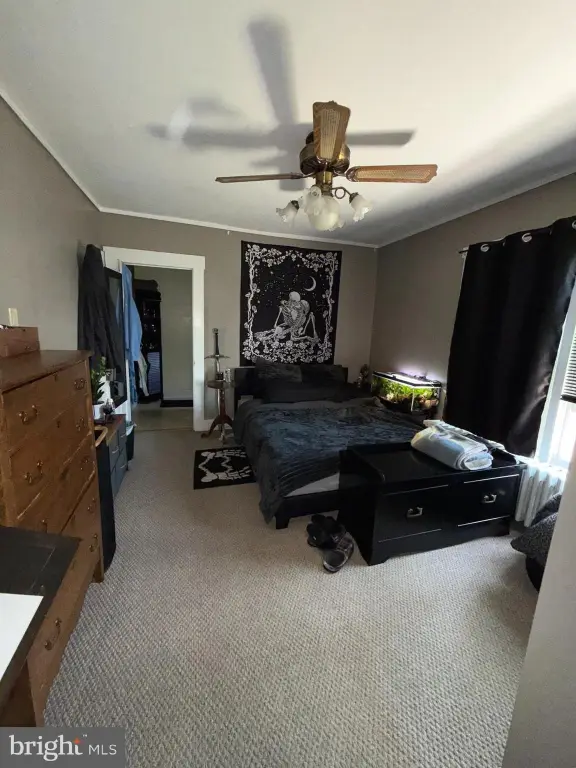 Picture 16