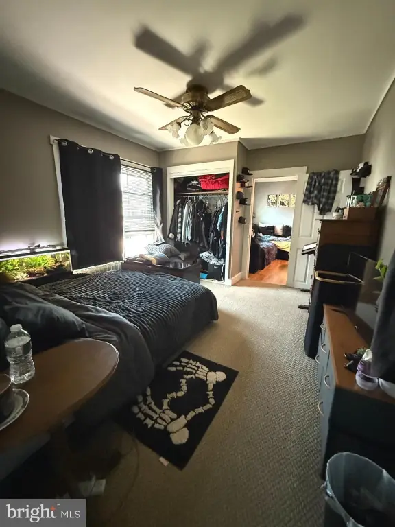 Picture 18