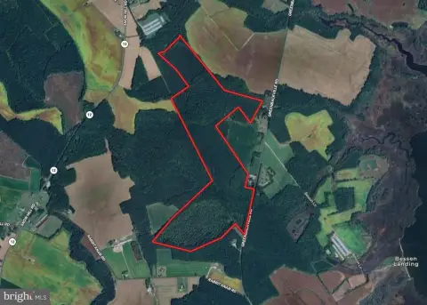 205.7 Acres of Timber Land