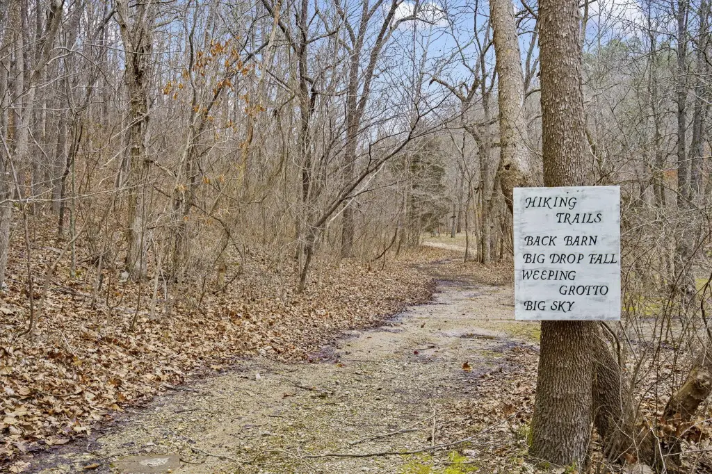 Picture 61