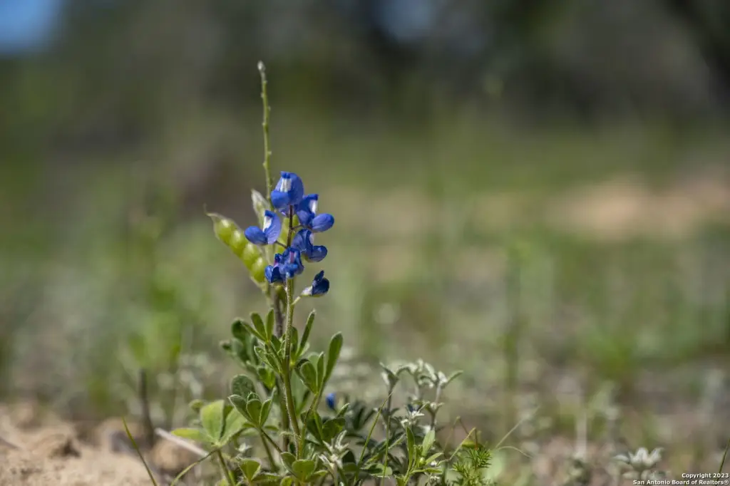 Picture 23