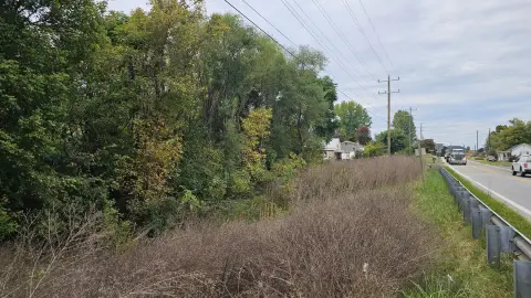 Business-Zoned Lot Near Attractions