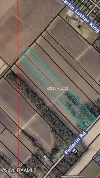 Agricultural Land Leased for Sugar Cane