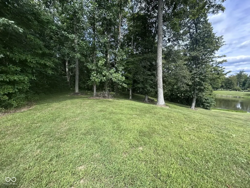 Picture 17