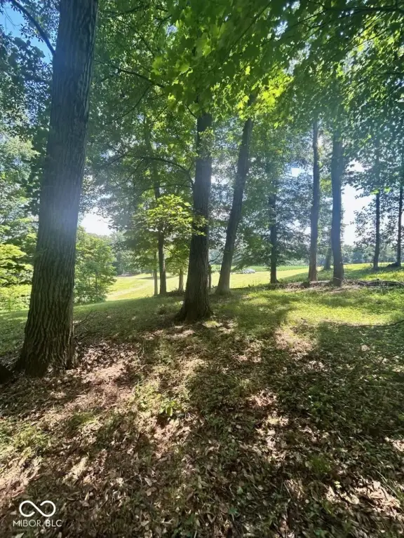 Picture 6