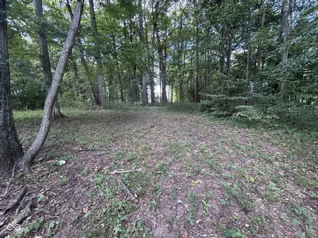 Picture 14