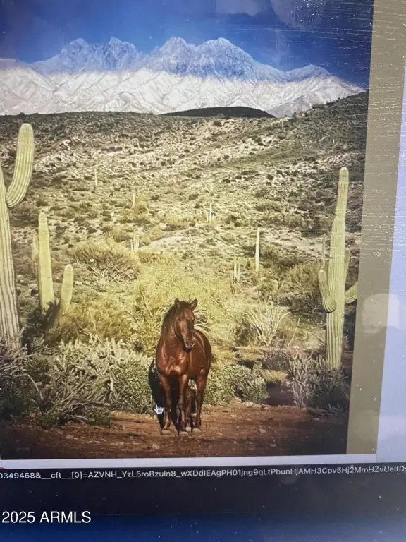 Picture 14