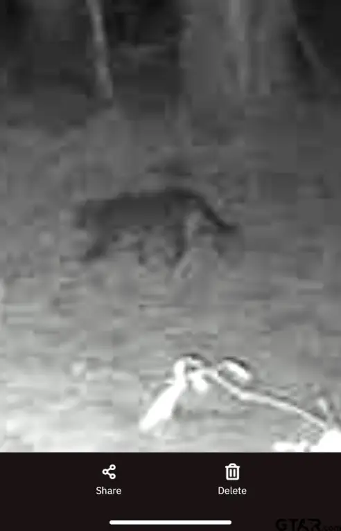 Picture 4