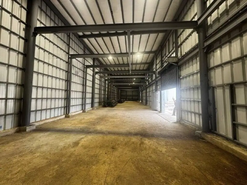 Picture 3