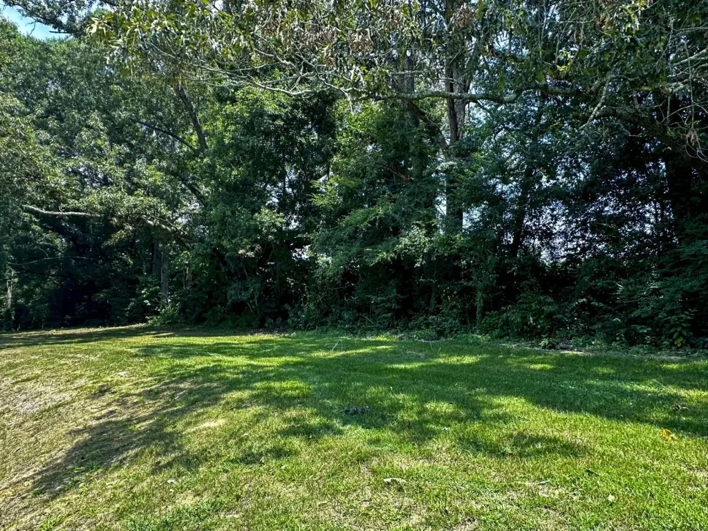 Picture 28
