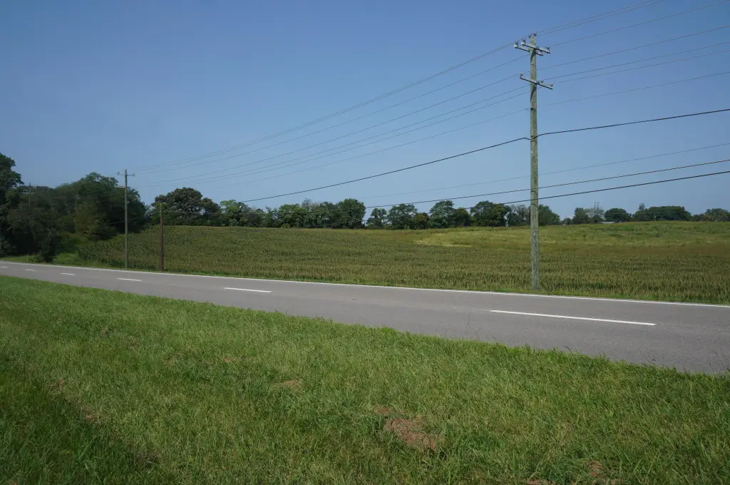 Picture 11