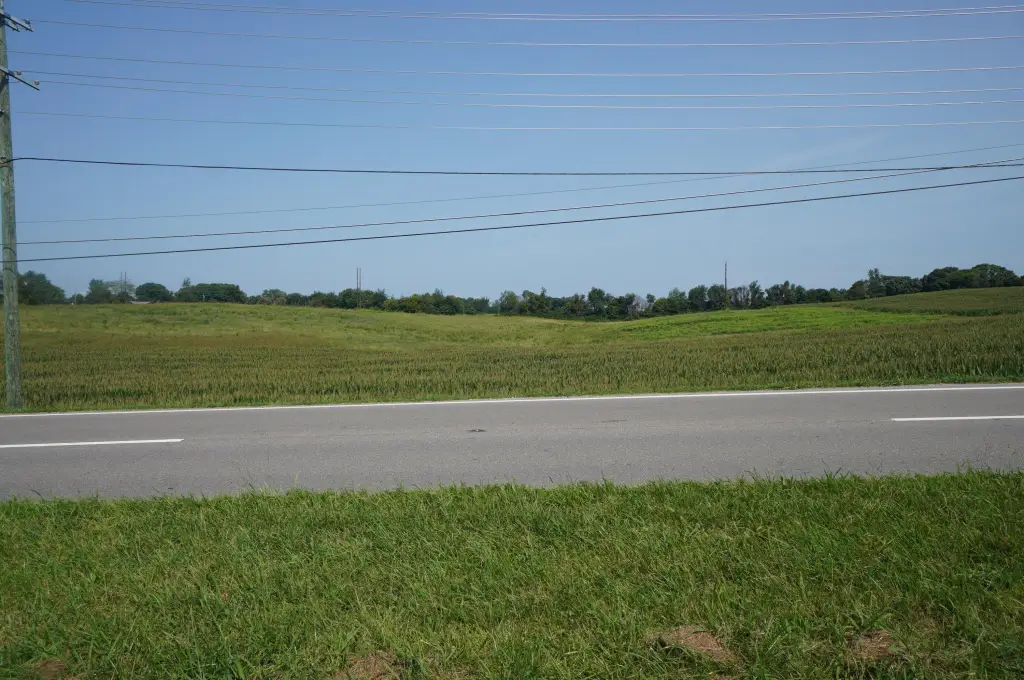 Picture 12