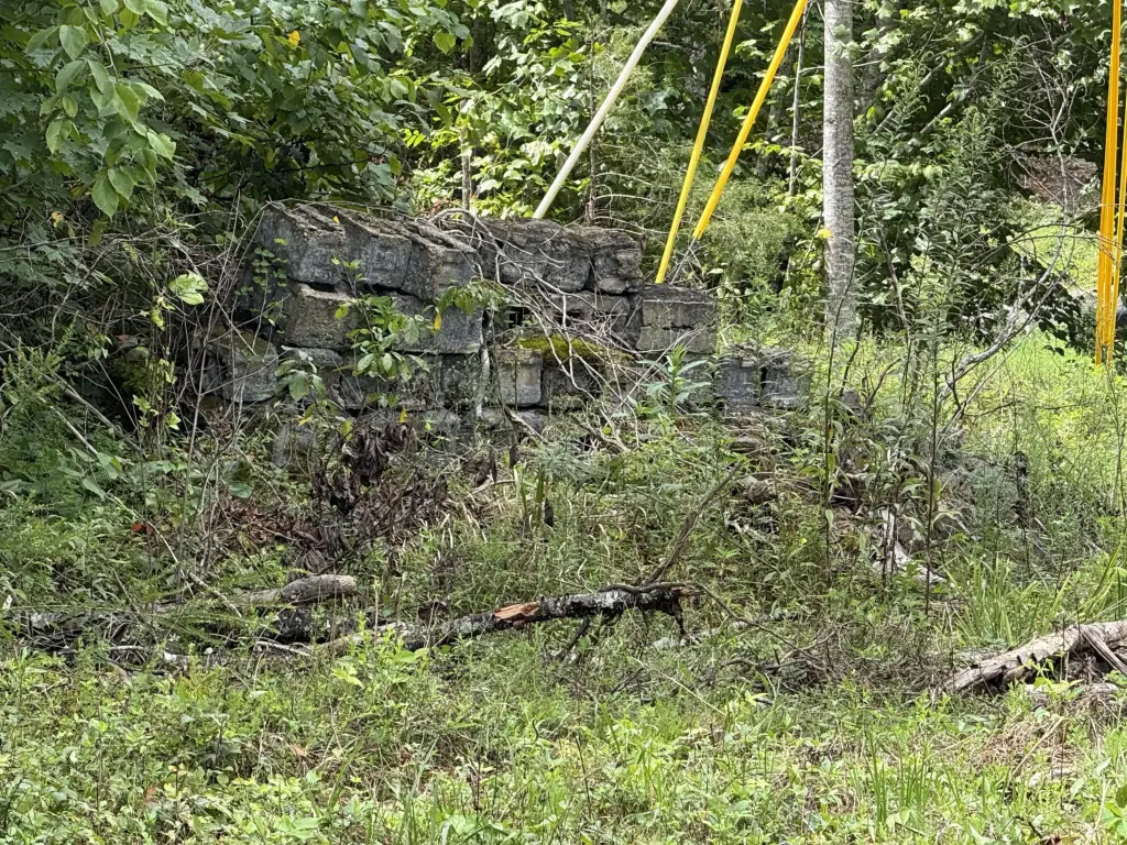 Picture 6