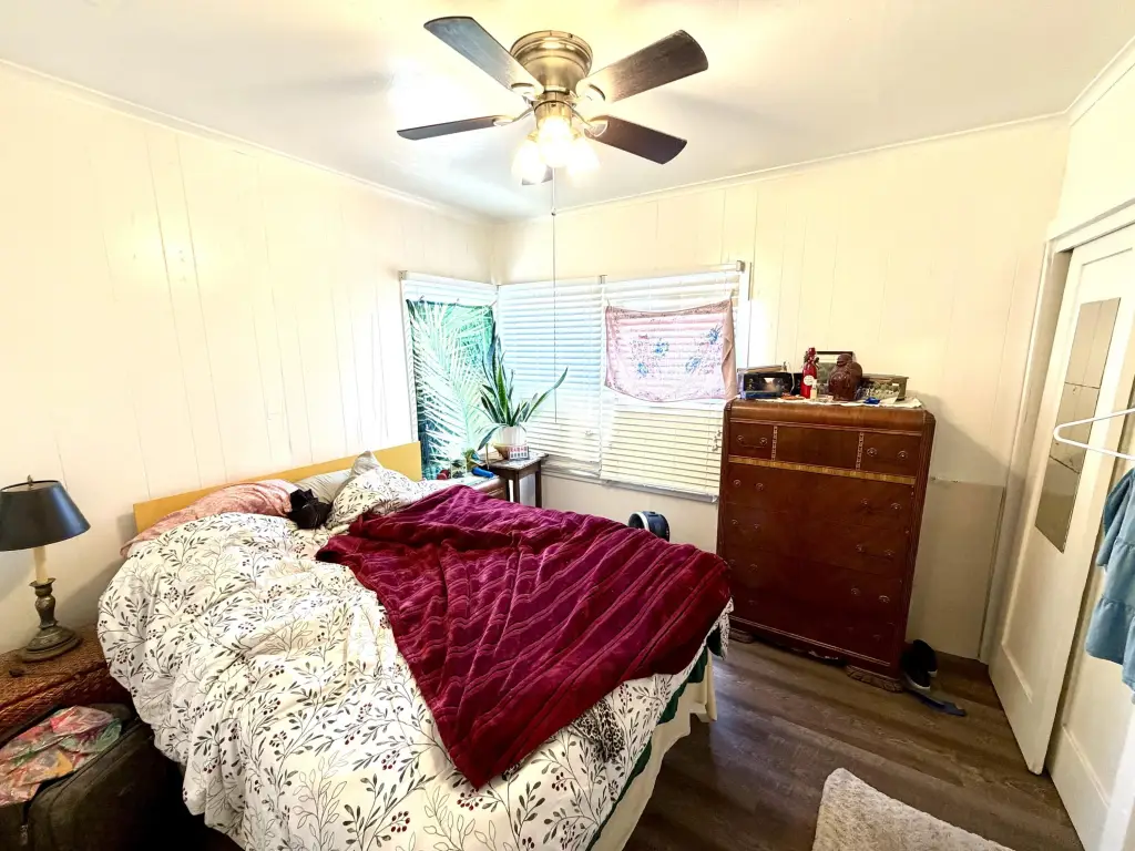Picture 17
