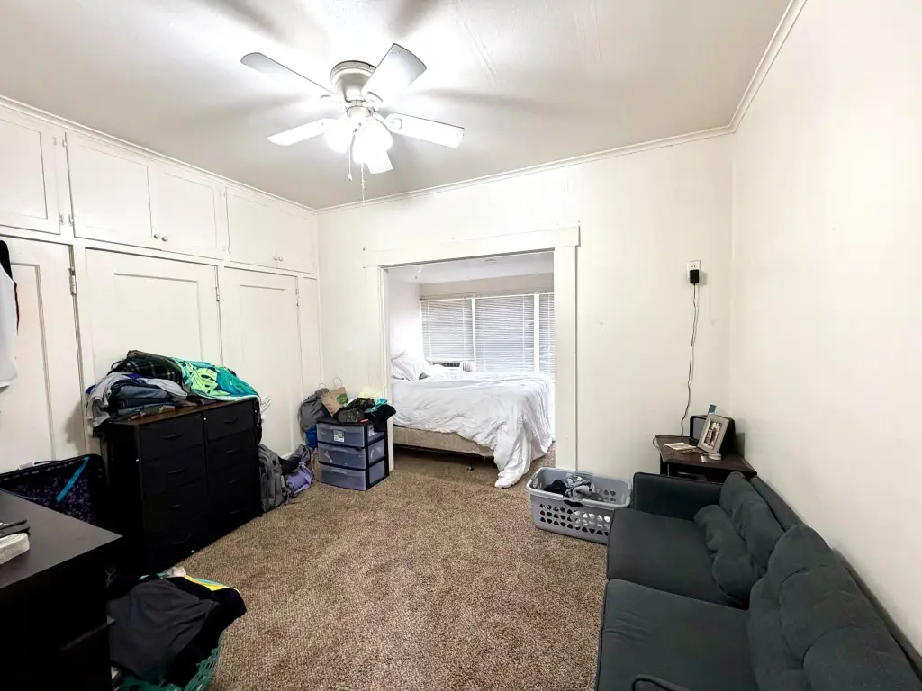 Picture 5