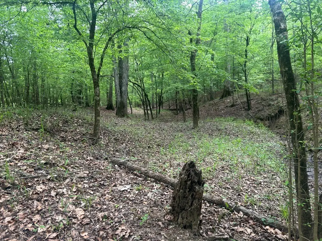 Picture 17