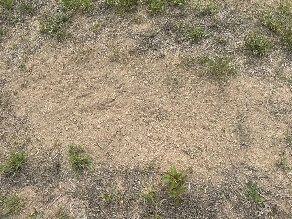Picture 28
